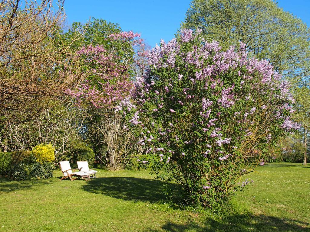 Gite De Charme Au Bord Du Tarn Marssac-sur-Tarn 外观 照片