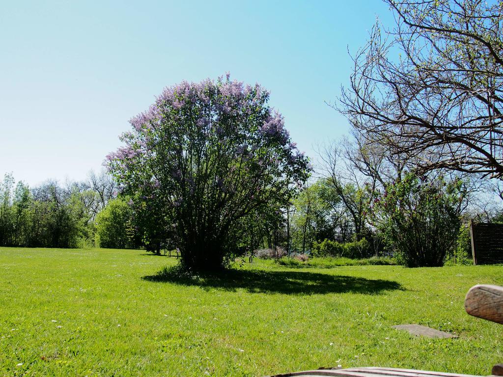 Gite De Charme Au Bord Du Tarn Marssac-sur-Tarn 外观 照片